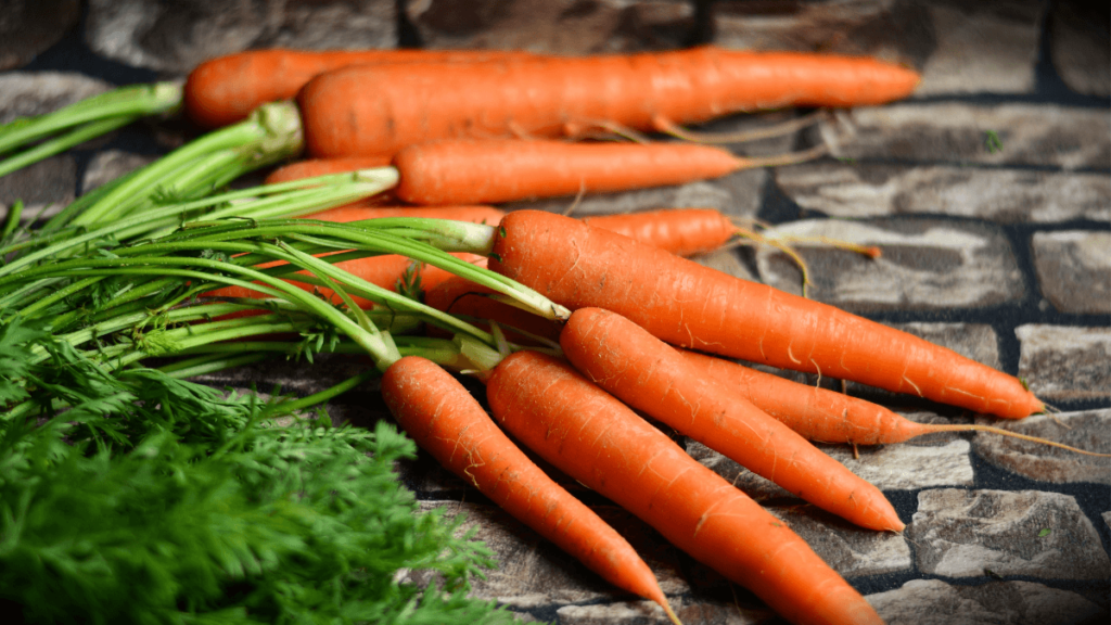 SCIENTIST DEVELOPS CARROT OF THE FUTURE WITH ONE UNEXPECTED FEATURE — HERE’S HOW IT COULD HELP FEED THE WORLD